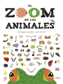 zoom