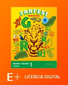 fanfest