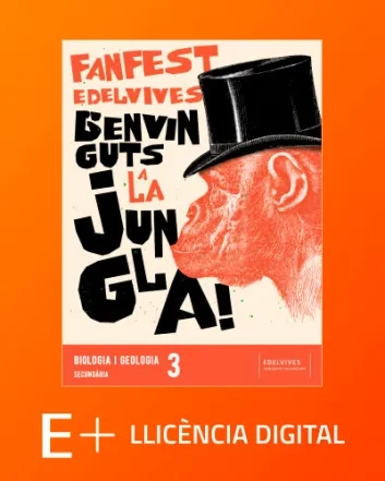 fanfest